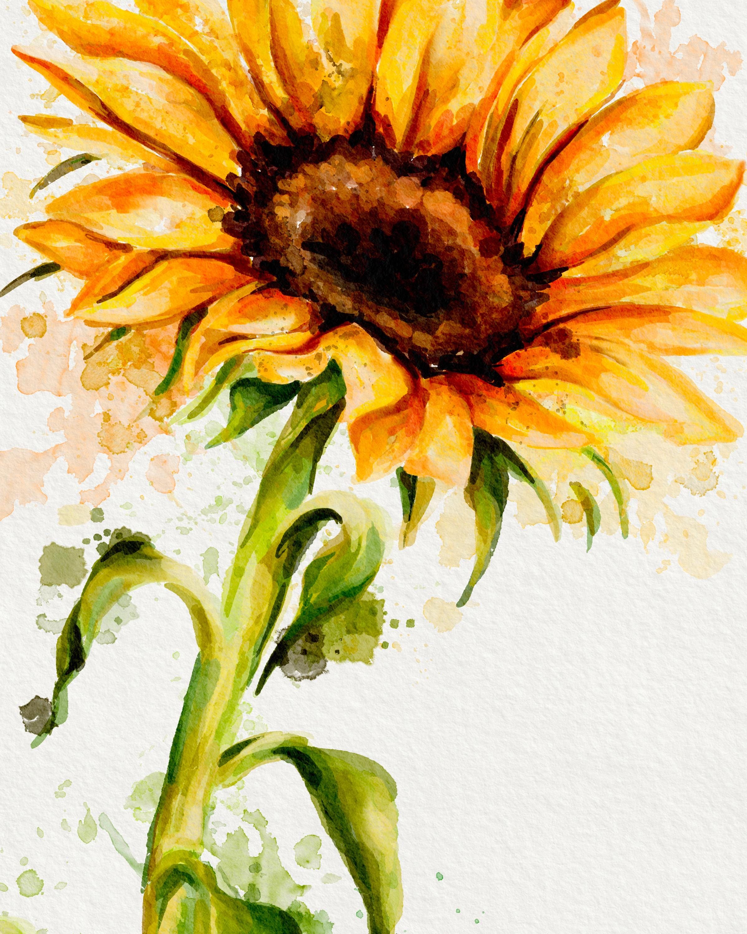 Watercolour Sunflower Card