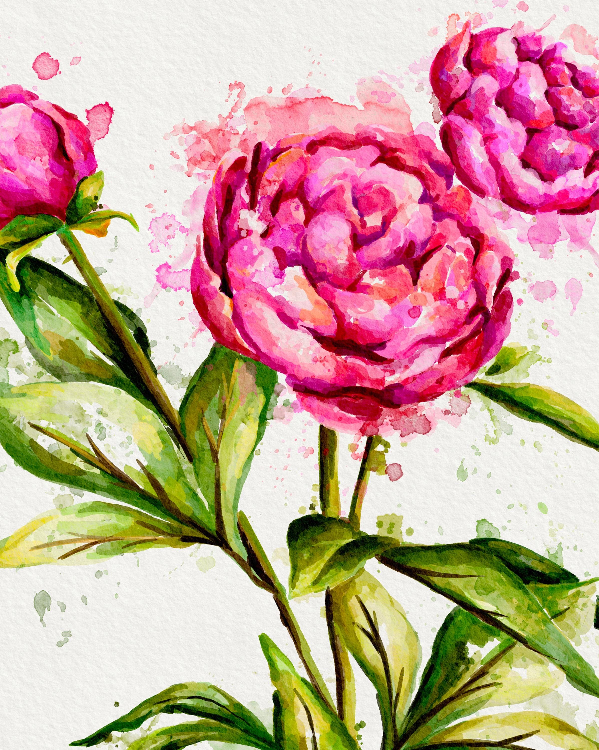 Watercolour Peonies Card