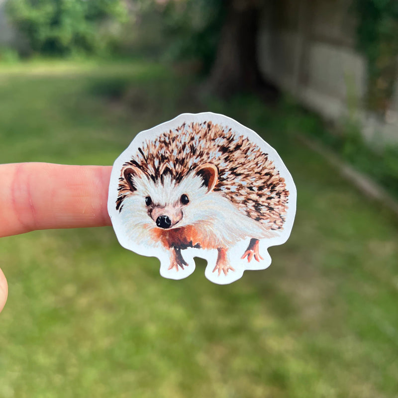 A die-cut sticker of a hedgehog held by a person's fingers against a blurred outdoor garden background.