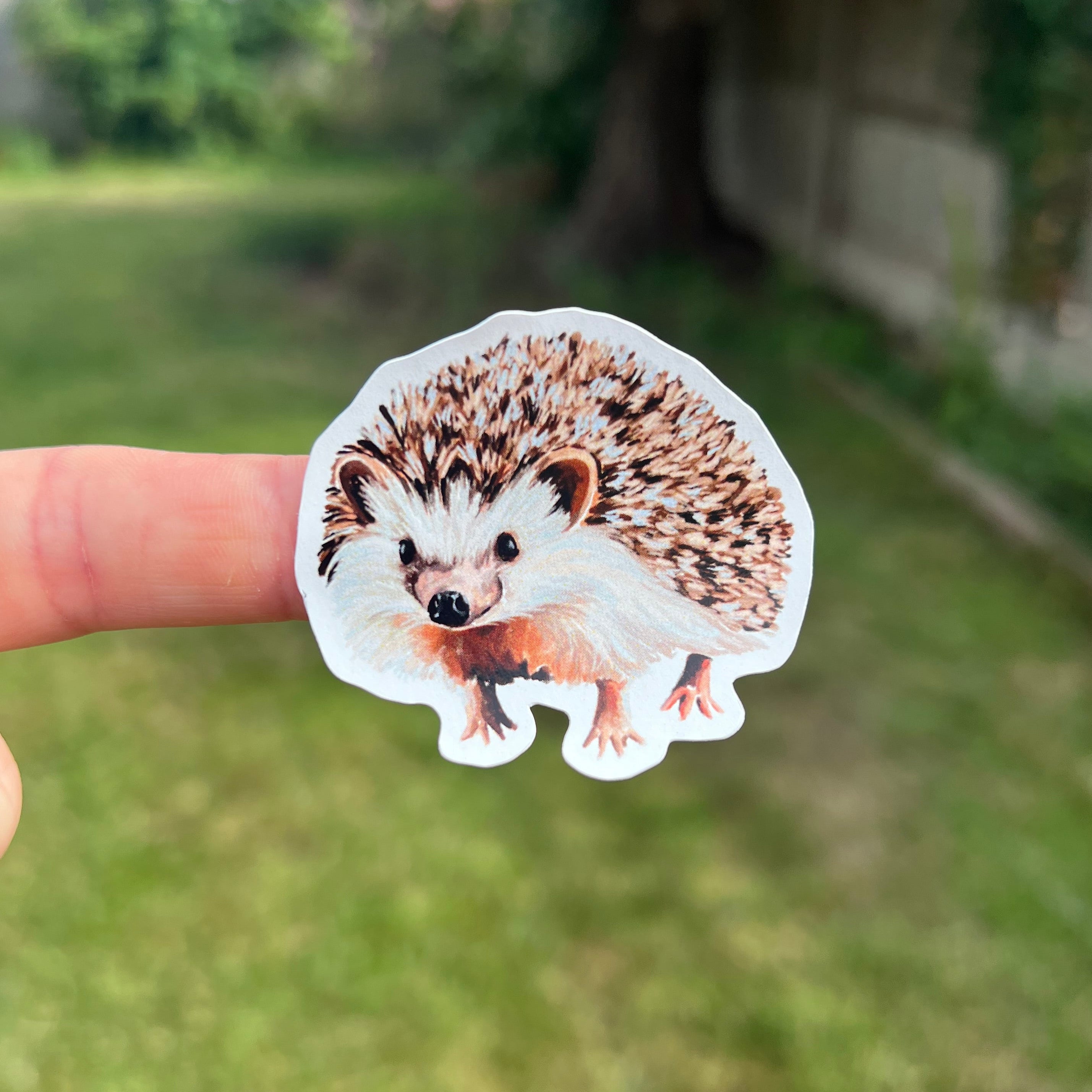 A die-cut sticker of a hedgehog held by a person's fingers against a blurred outdoor garden background.