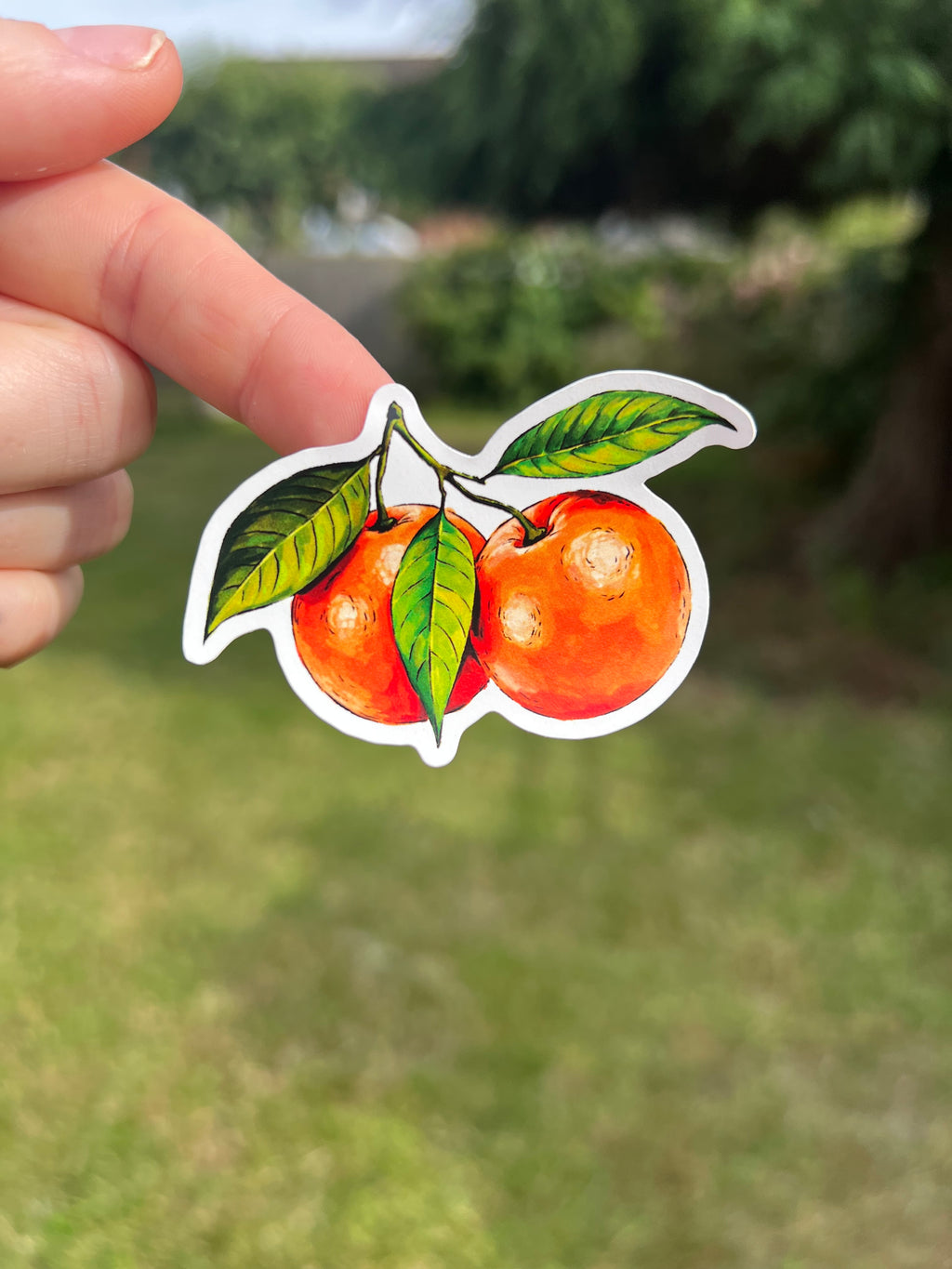 Fruit Market - Sticker Sheet