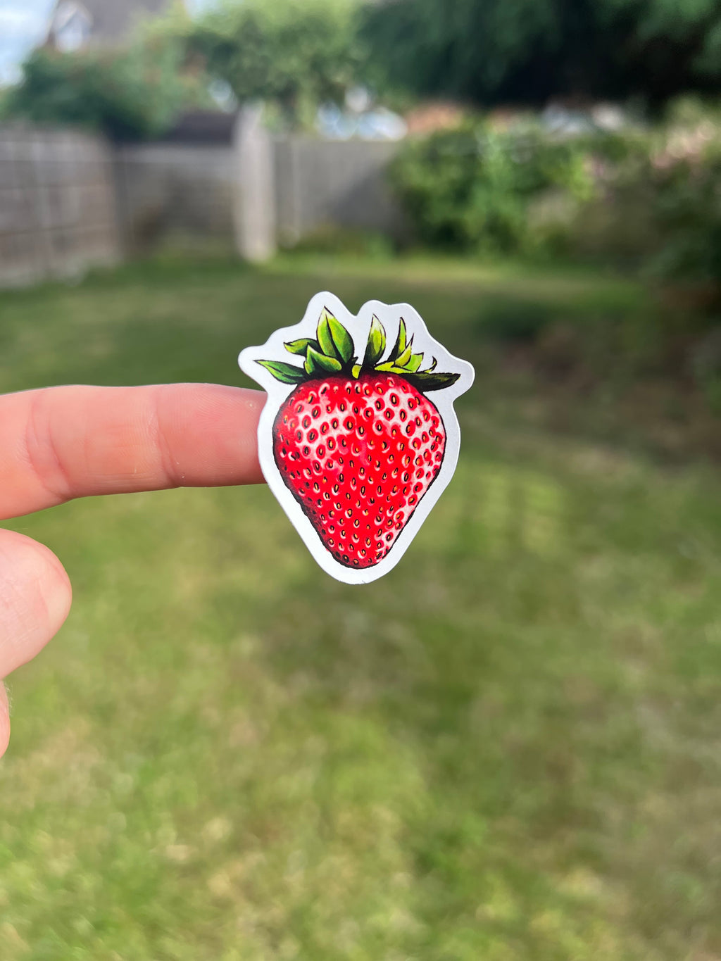 Fruit Market - Sticker Sheet