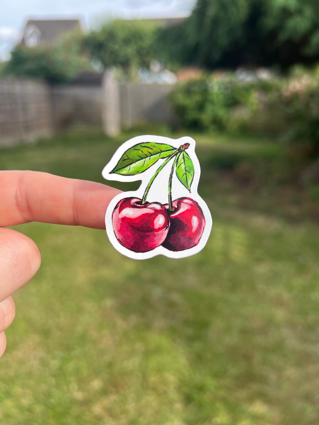 Fruit Market - Sticker Sheet