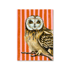 Owl - Art Print