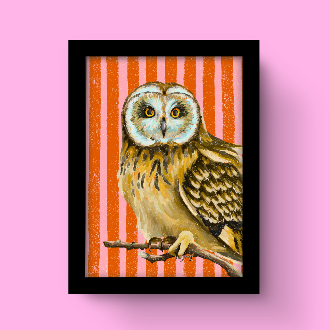 Owl - Art Print