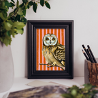 Owl - Art Print