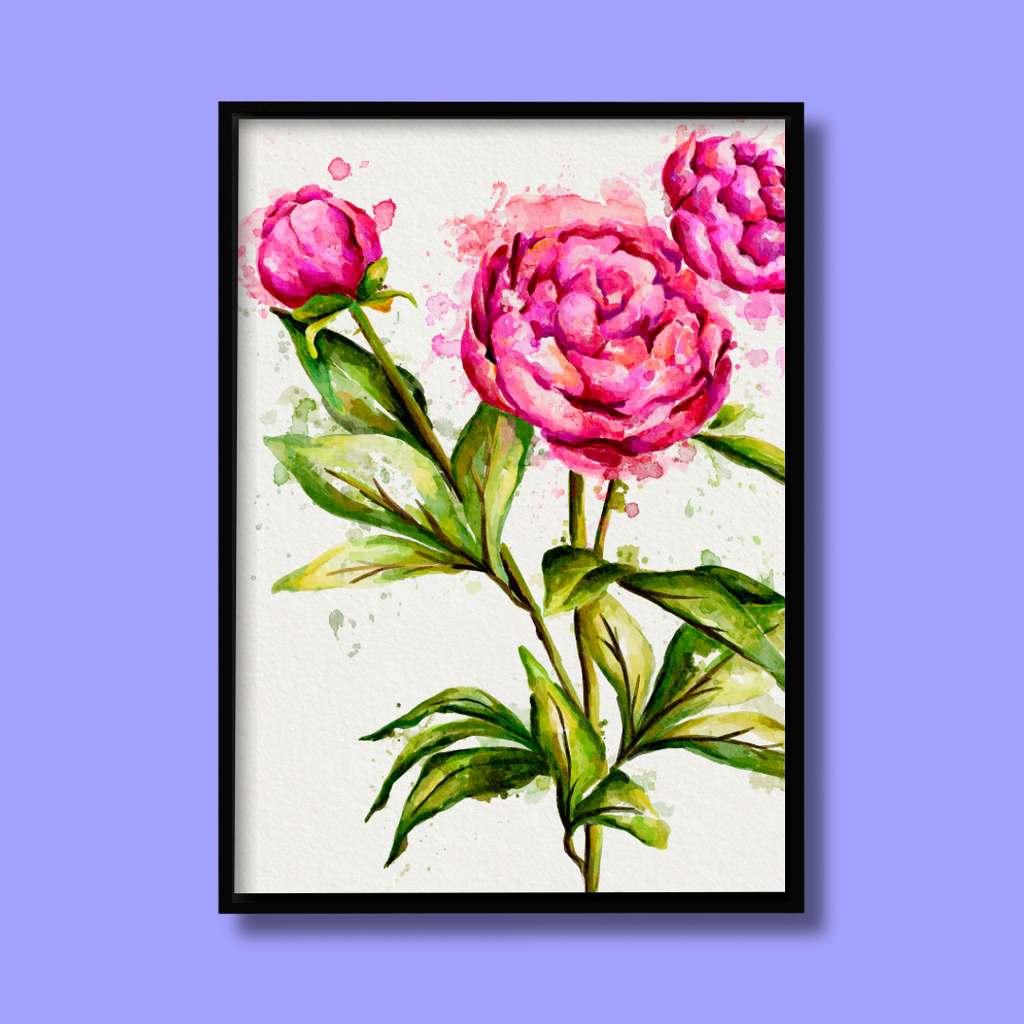 Peonies - Art Print