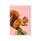 Squirrel - Art Print