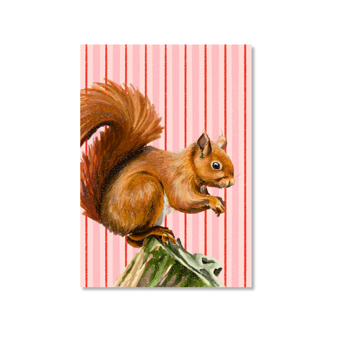 Squirrel - Art Print