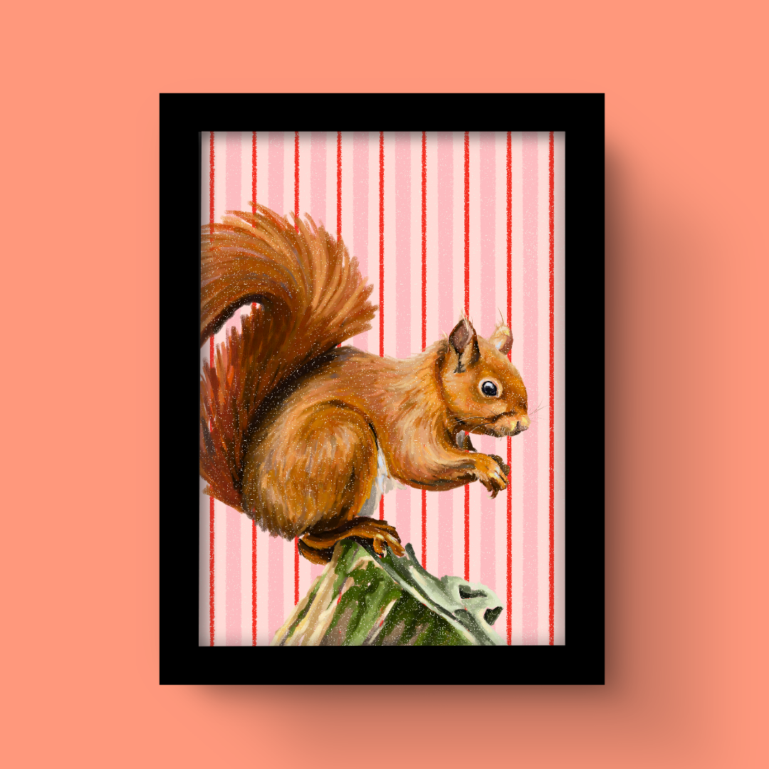 Squirrel - Art Print