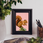 Squirrel - Art Print