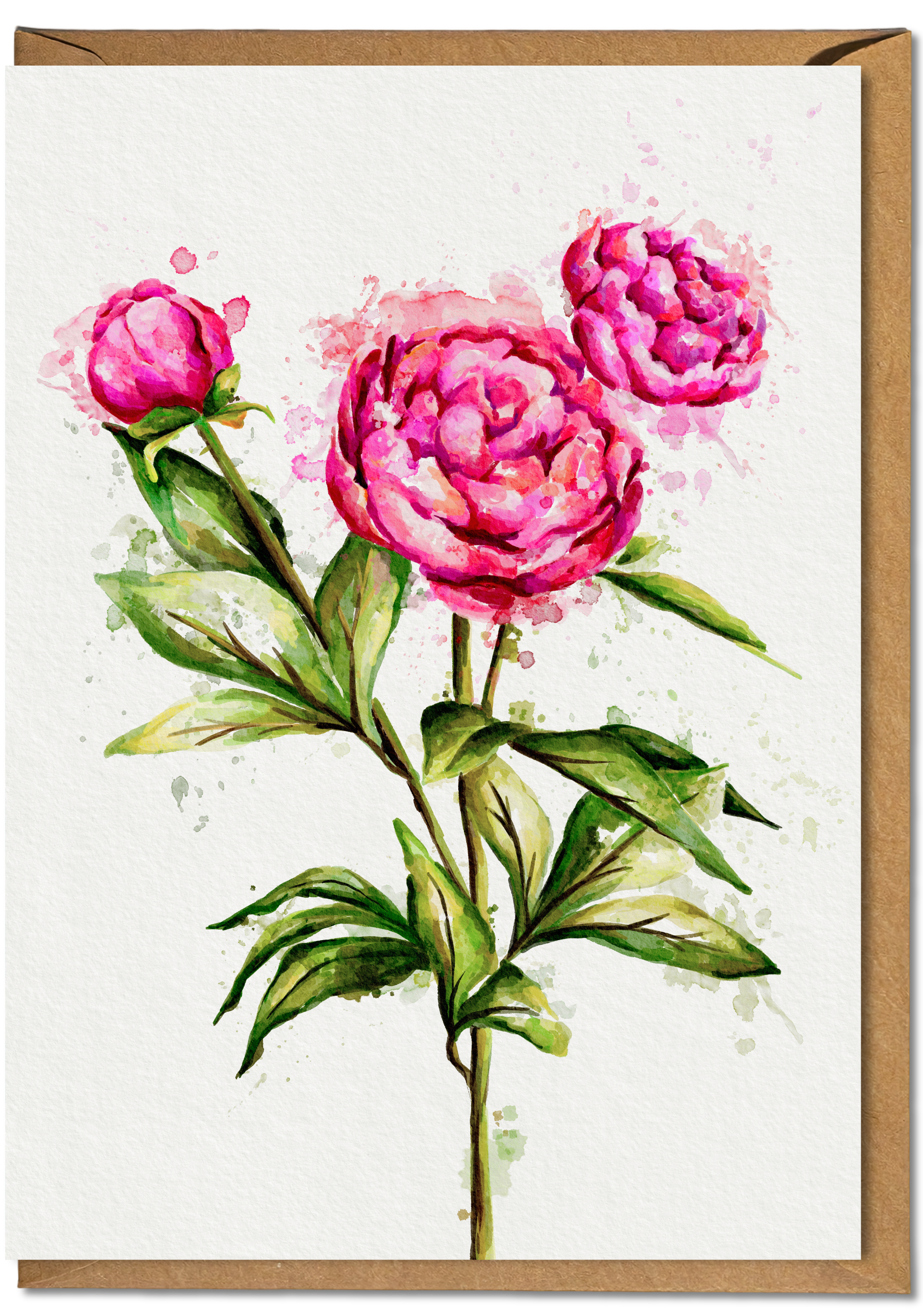 Floral painting of pink peony flowers with green leaves on a white background